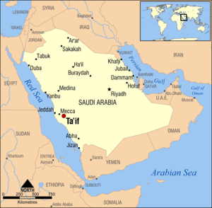 Lessons from the Journey of Taif